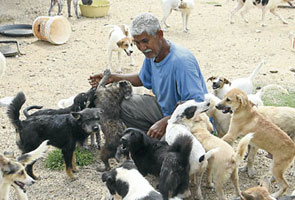 Pak Mie dan anjing yang dibela