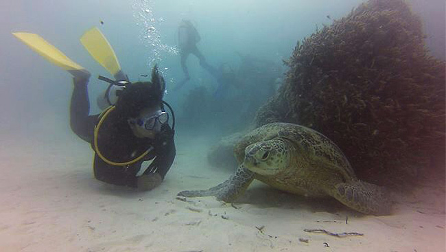 Diver with turtle