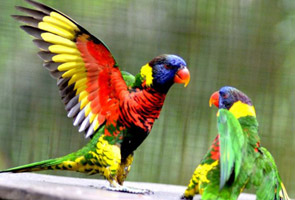 Why are politicians always angry?