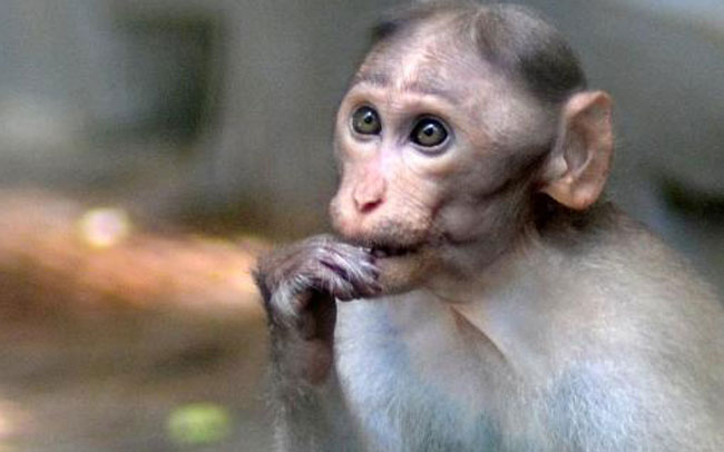 Suhaimie Sulaiman Column