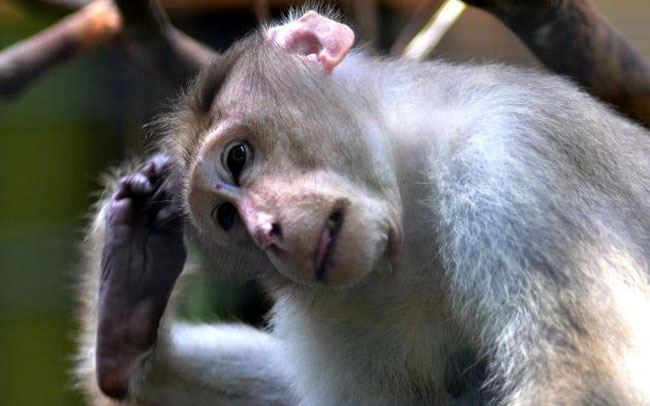 Suhaimi Sulaiman Column