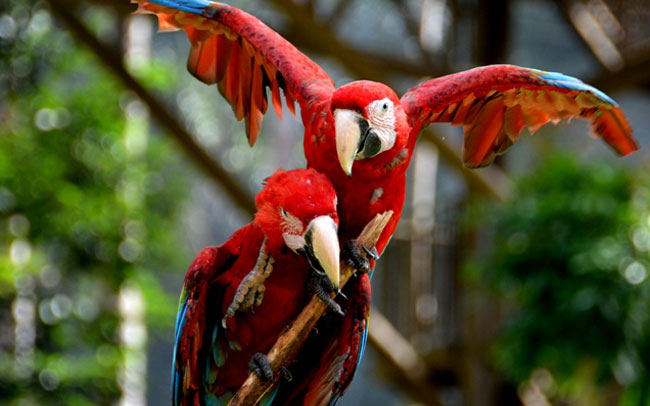 Suhami Sulaiman column