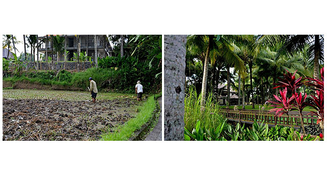 Farmers in the field