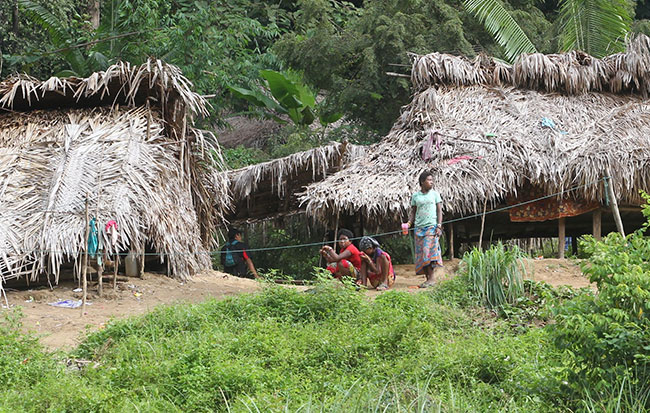 Orang Aslli Batek di Taman Negara