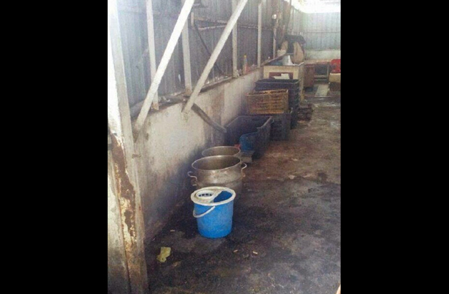 Kilang roti jijik di Ipoh