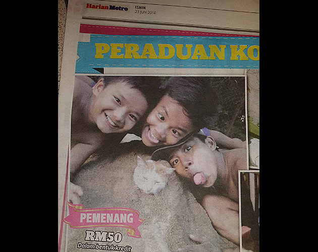 Pengguna media sosial kurang senang dengan gambar kucing ditimbus pasir