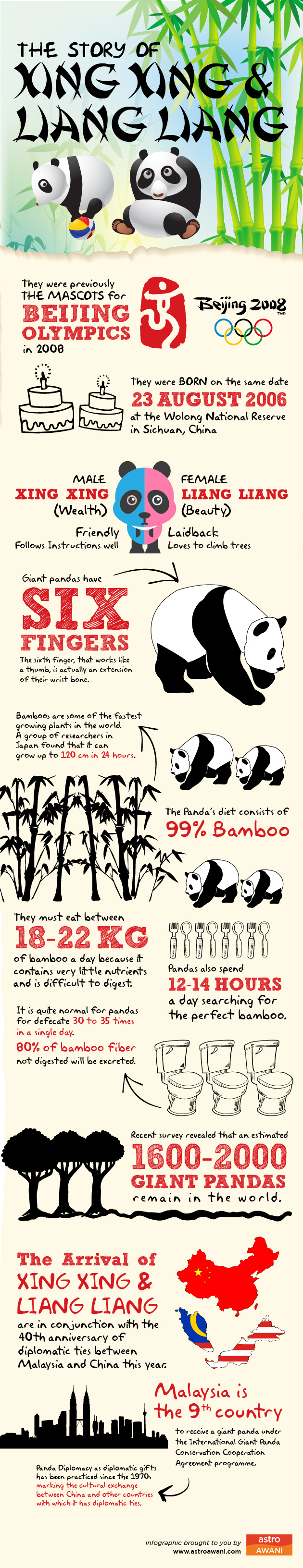 Xing Xing and Liang Liang