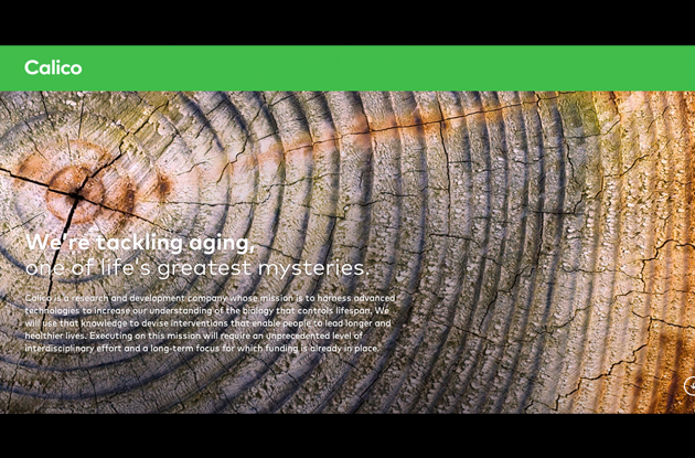 Calico was introduced to the world with the bold ambition of 