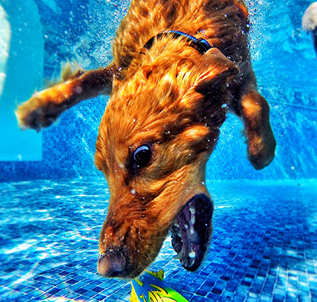 Ed Hagen won GoPro’s 