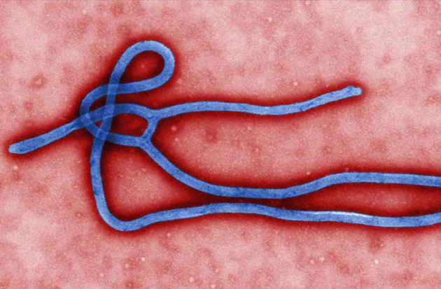 ebola