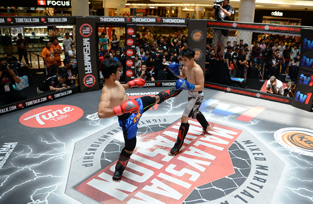 MIMMA3 sparring