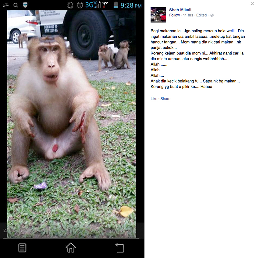 Facebook Shah Mikail