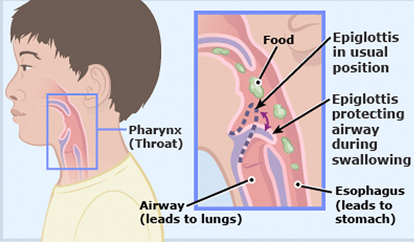 Aliran udara ke paru-paru.