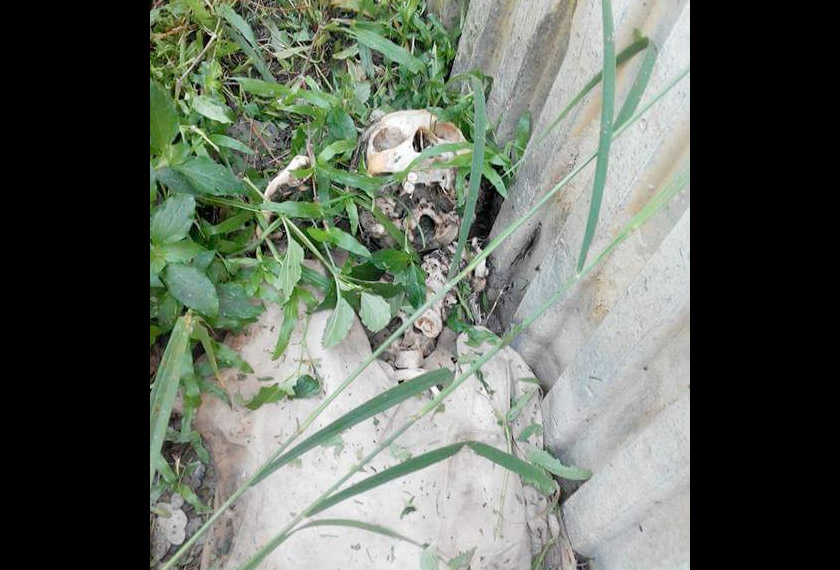 A lawn mower stumbles upon a skeletal remain at Padang Rengas
