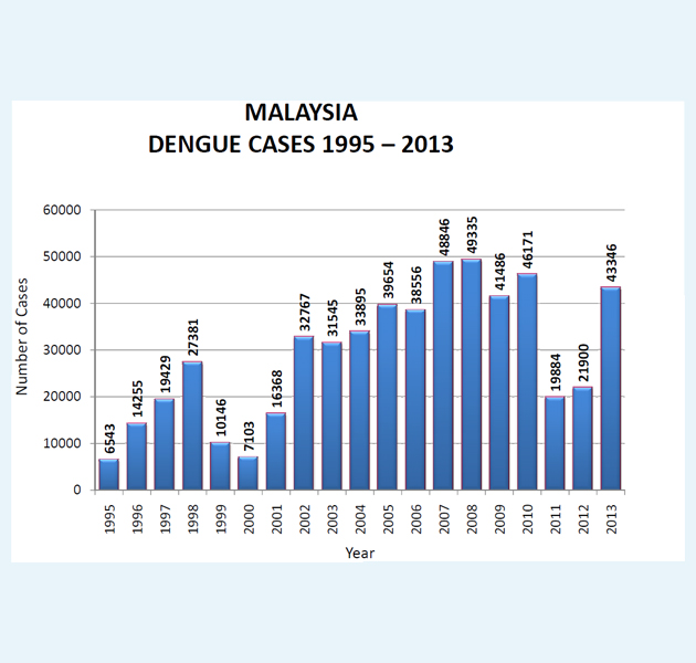 dengue cases