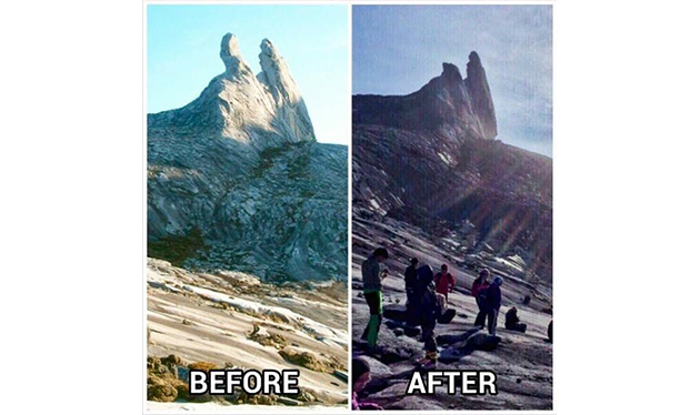 Telinga Keldai Gunung Kinabalu
