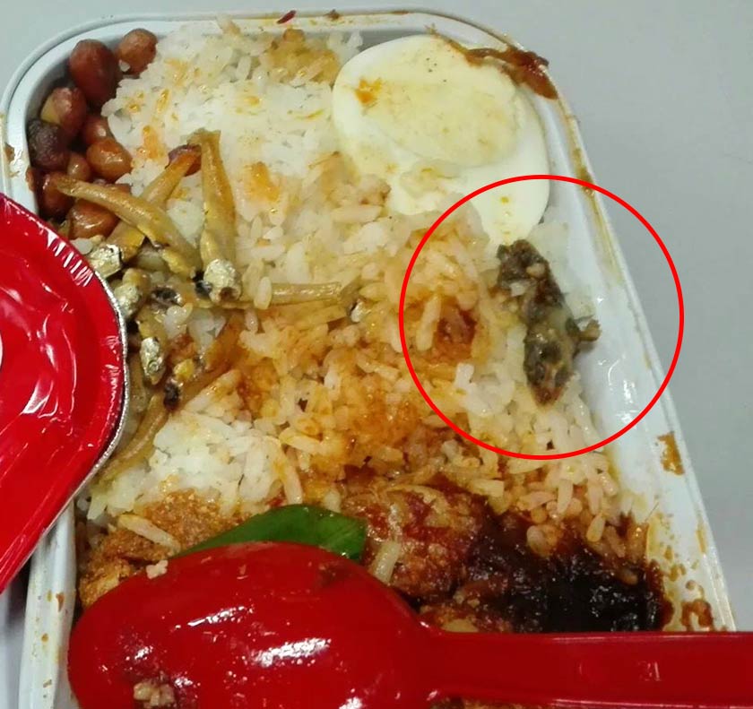 Cicak yang dijumpai dalam nasi lemak - Foto Facebook/Waseem Abbas