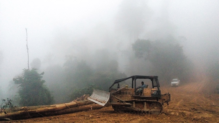 Antara jentolak yang digunakan bagi aktiviti pembalakan di kawasan itu.