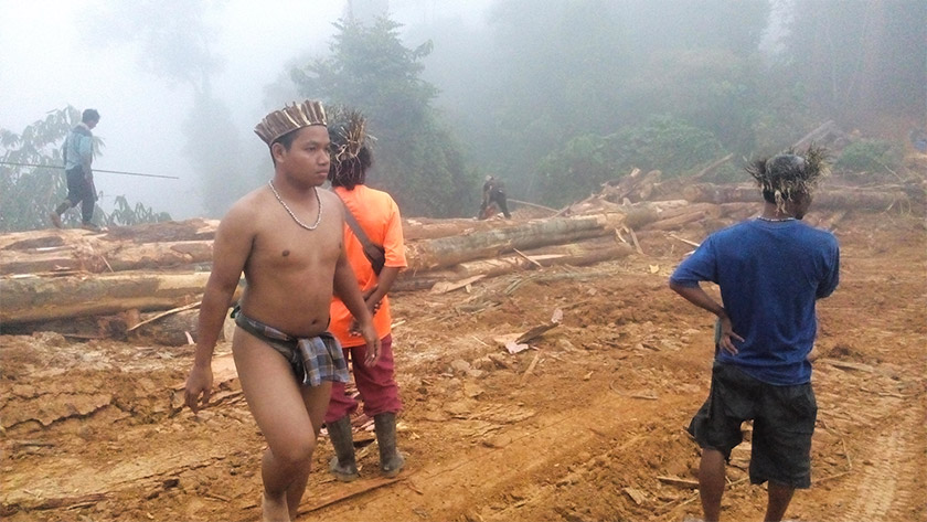 Penduduk dari kaum Orang Asal sering berdukacita apabila menyaksikan keadaan di lokasi berlakunya aktiviti pembalakan.