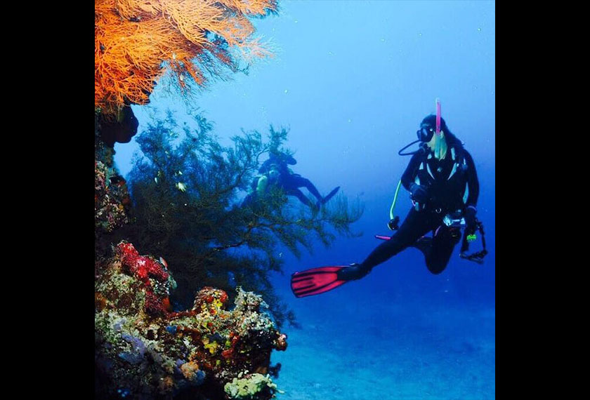 The strong current is also why Komodo waters are so clear and so full of fish.