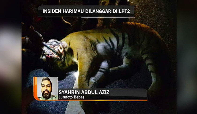 Syahrin told Astro AWANI that he could only scream