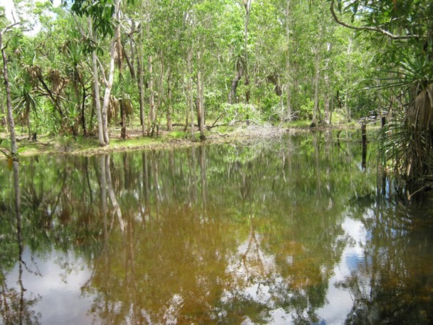 Waterhole di Bathurst