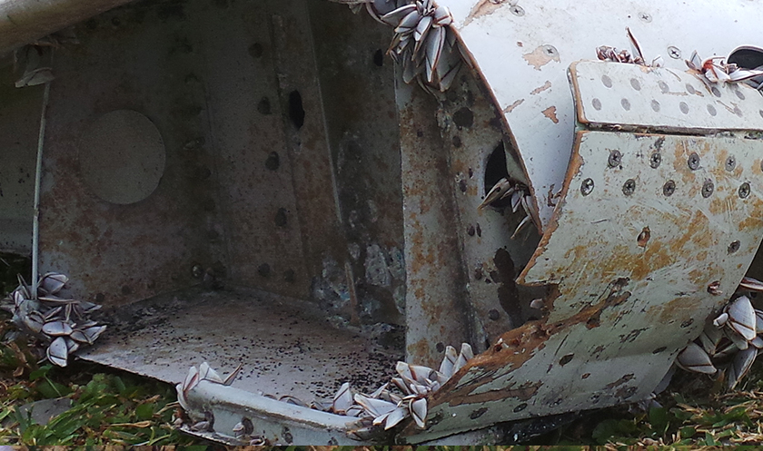 On Aug 6, international experts confirmed that the flaperon found on French territory, Reunion Island last month was from Flight MH370. - EPA pic