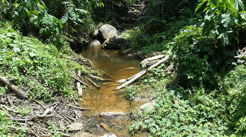 Foto Astro AWANI / Tan Su Lin