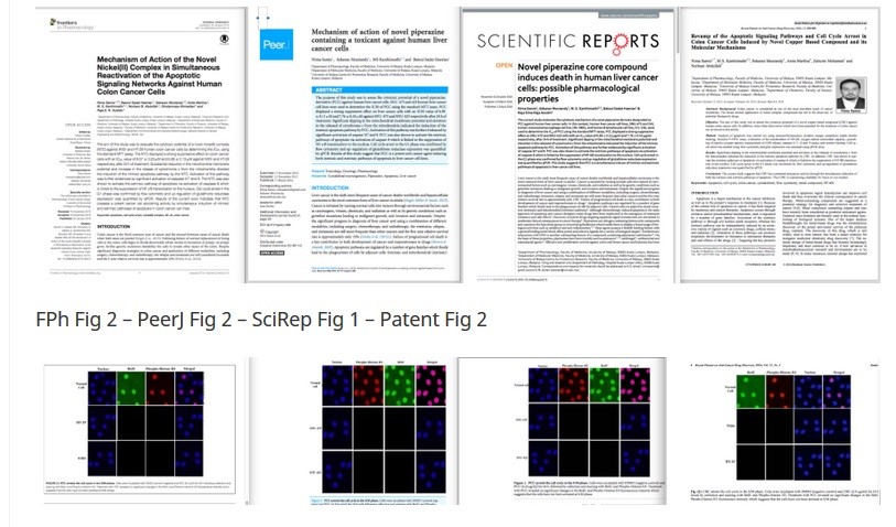 Graphic 1: 4 similiar mages across 4 different papers (Source: Microbiome Digest)