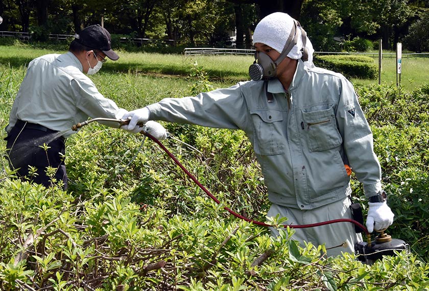 There is often no justification for the use of insecticides.