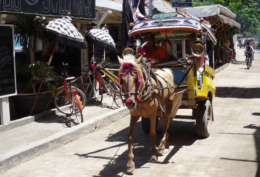 Horse-drawn cart in Gili Trawangan or also know as 'cidomo' are available for rent all over the island. The price is vary, depending on the length of the journey. - Photo by Nur Alya Mohamed