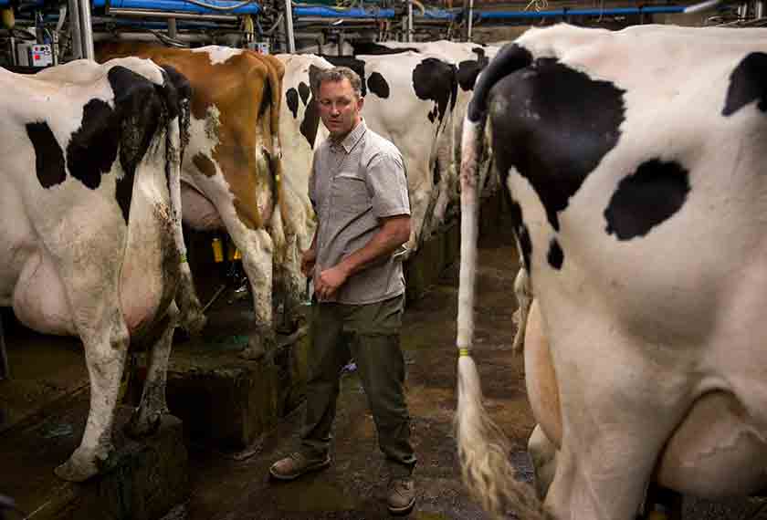 Petani UK turut berbelah bahagi mengenai isu Brexit susulan isu pemberian subsidi pertanian yang bakal bertukar. - Foto AP