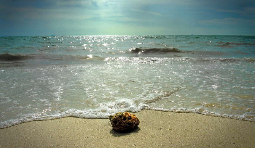 Malaysia perlu berusaha ke arah menyalurkan kesemua peruntukan LOSC ke dalam undang-undangnya