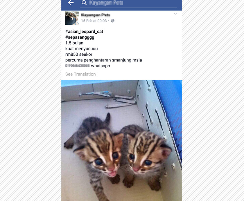 Kajian itu turut menunjukkan tahap perdagangan luar biasa melibatkan 18 spesis mamalia asal Malaysia