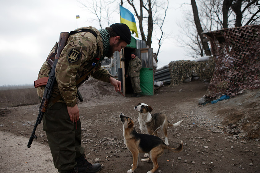 For the Ukrainian soldiers any sign of the long-forgotten joys of normal life is cherished, with the pets around them treated like royalty