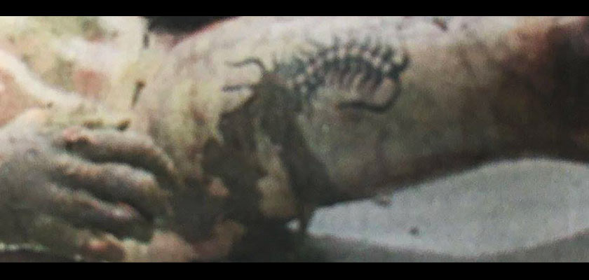 Tatu lipan yang terdapat pada paha kanan mangsa. - Foto PDRM