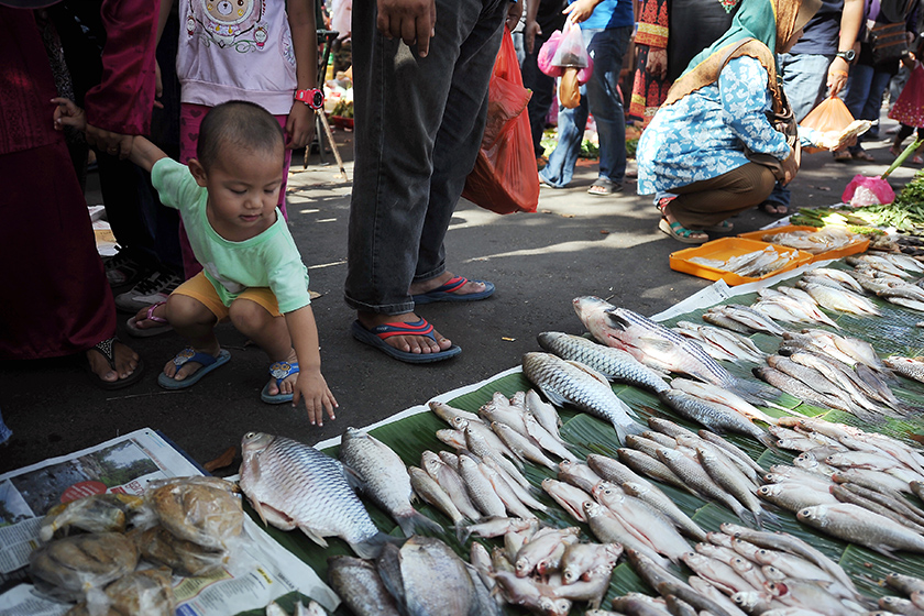 Pekan Sehari Temerloh popular dengan pengunjung dari dalam dan luar daerah yang ingin mendapatkan pelbagai jenis ikan sungai. - Gambar fail