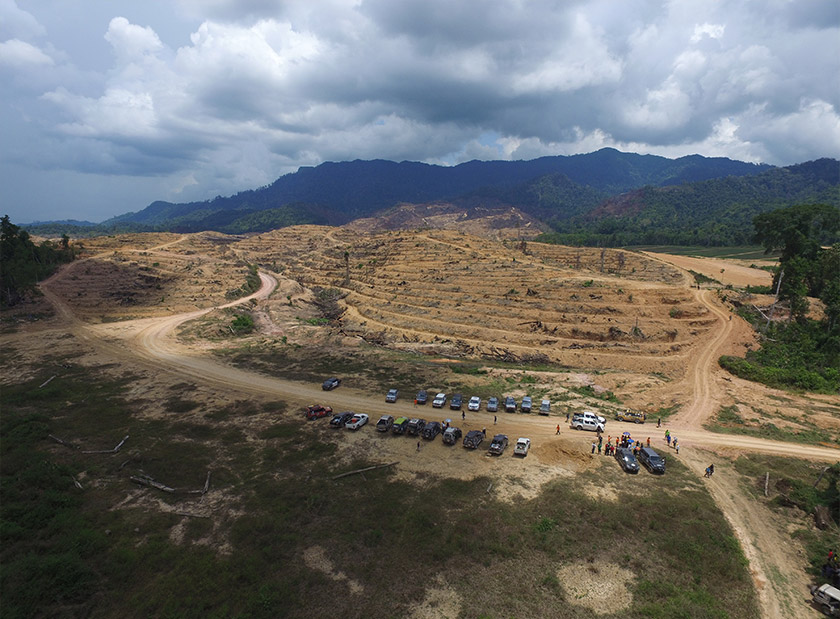 Pandangan dron menunjukkan keadaan hutan yang antara lain diteroka untuk 'tujuan perladangan'.