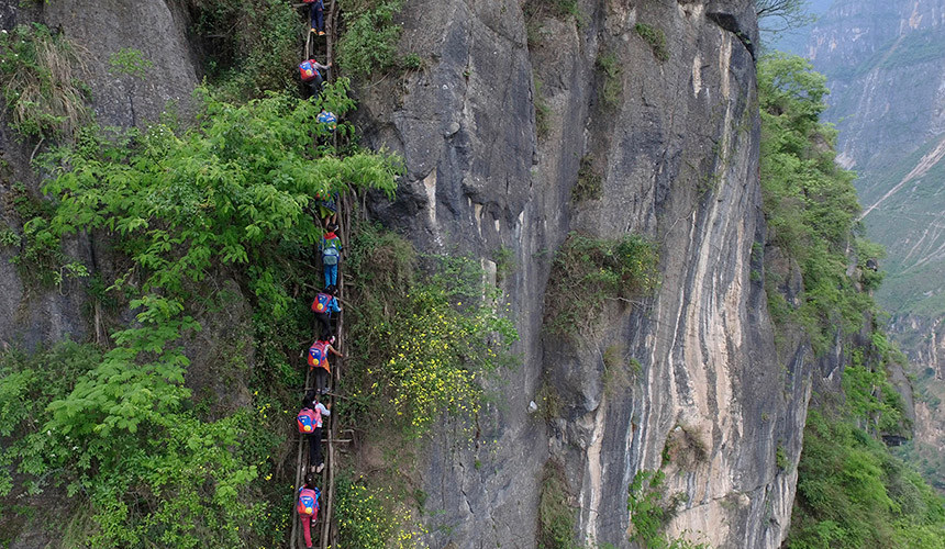 Tangga yang digunakan untuk mendaki cenuram hanya diperbuat daripada buluh.Foto/AP