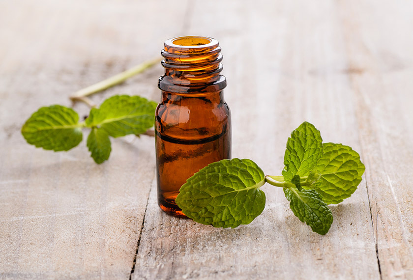 Peppermint is a pain-relieving plant that can be helpful in cases of mental, physical or sexual fatigue. - Amy_Lv/Istock.com