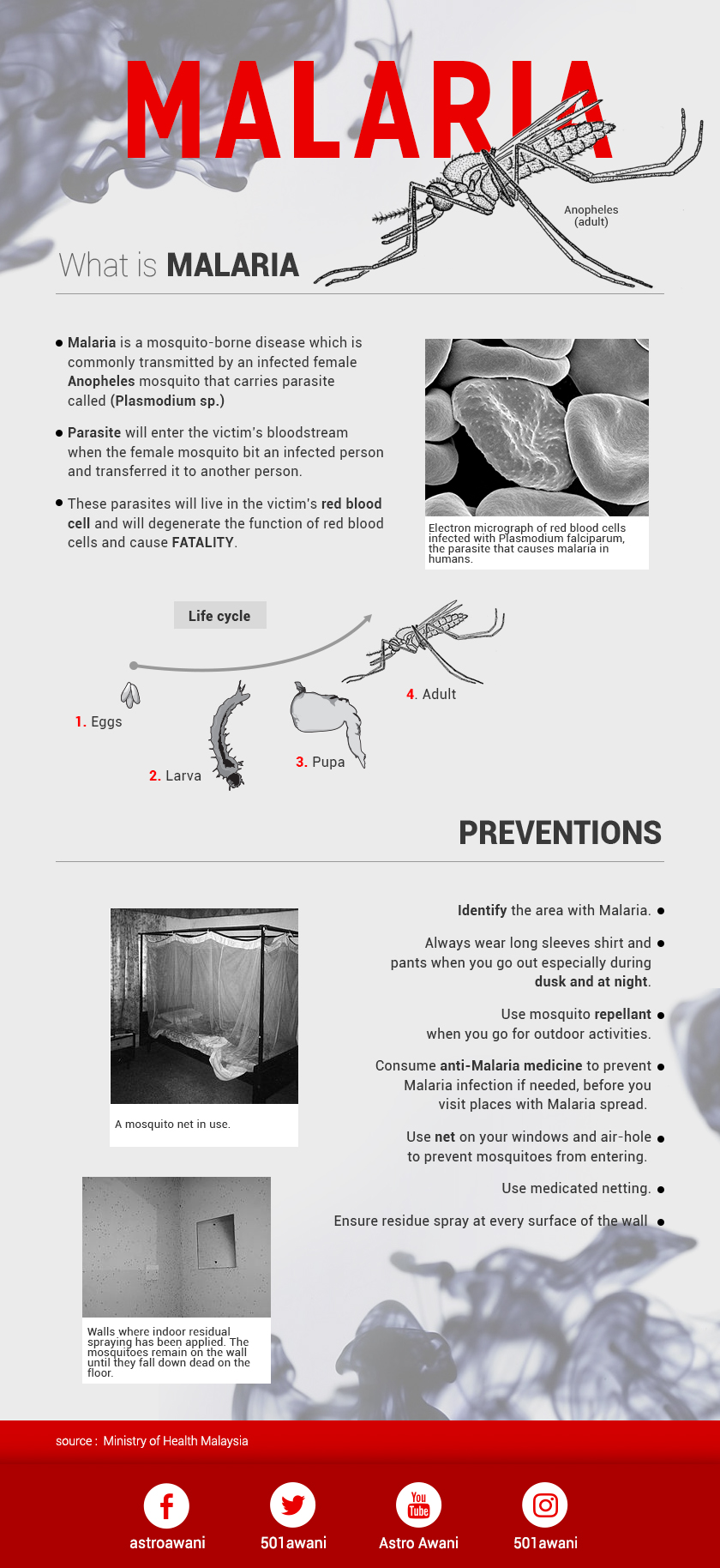 What is malaria and how to prevent it.