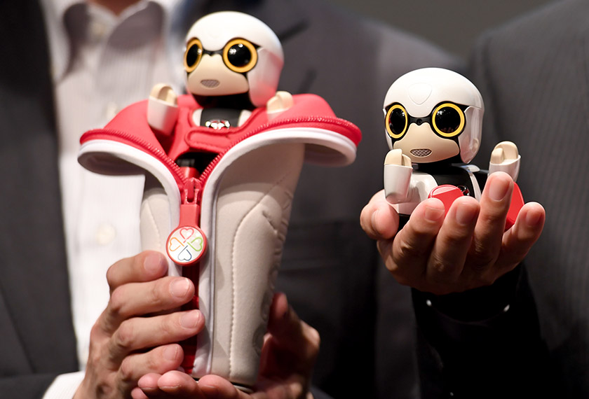 This picture taken on Sept 27, 2016 shows Toyota Motors’ new communication robot 'Kirobo Mini' during a press preview in Tokyo. - AFP
