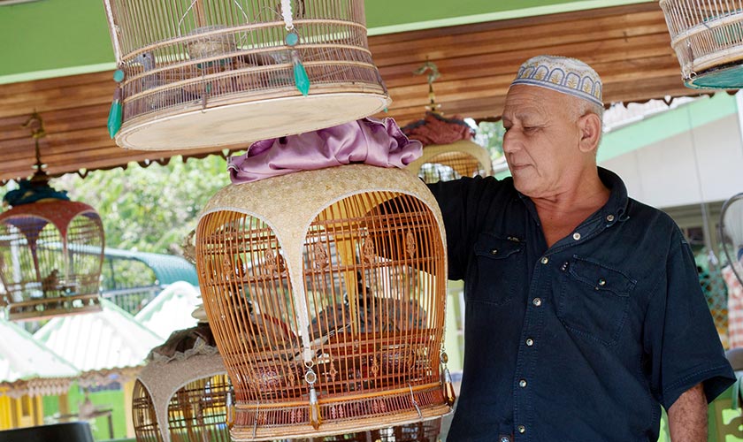 Che Hassan Mat, 68, bersama burung ketitir kelas A yang dimilikinya di Kampung Jubakar Darat