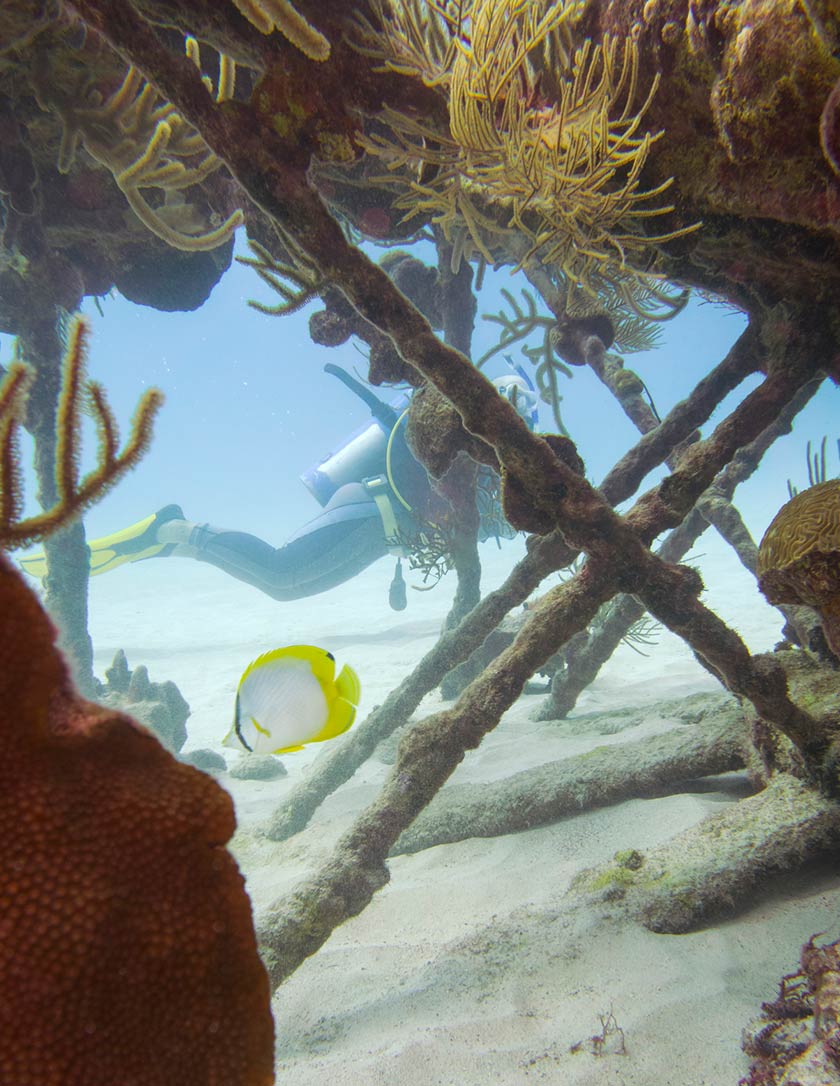 More than 300 relics from the past are hidden under the waters surrounding the island. 