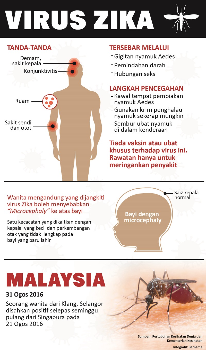 Zika masuk Malaysia