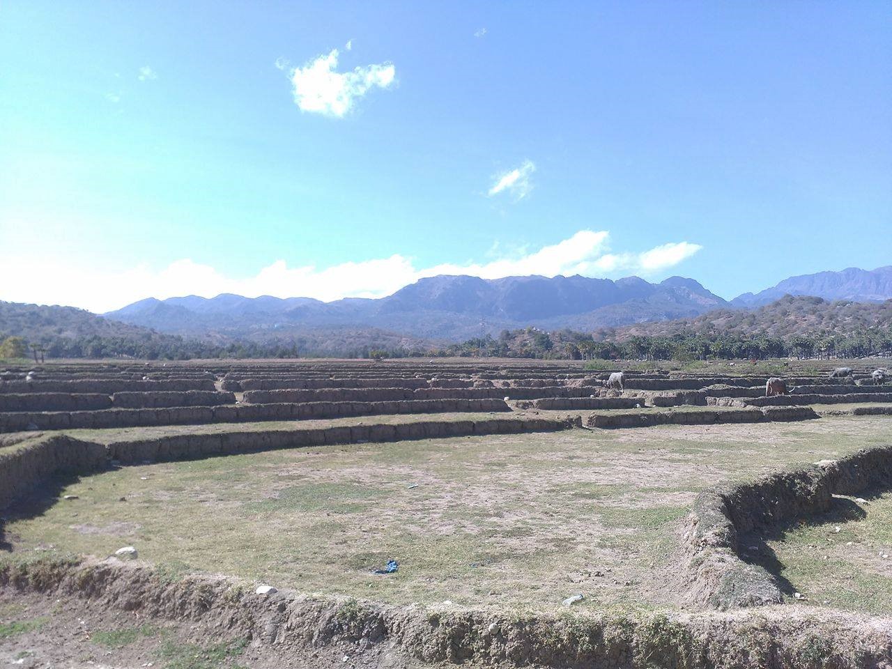 Gambar 8: Pemandangan berlatar-belakangkan Gunung Matebian, Timor-Leste