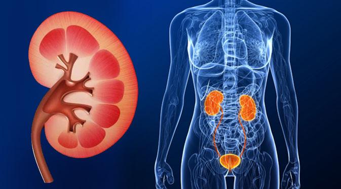 Buah pinggang rosak akibat maraton?