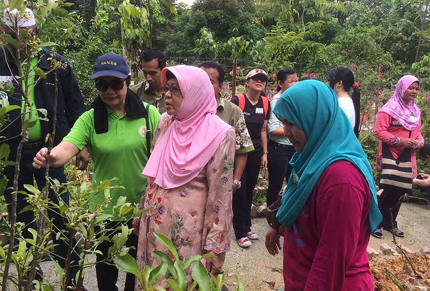 Penaung Human and Nature Development Society (HANDS) Tan Sri Zaleha Ismail di ladang herba di Zoo negara.