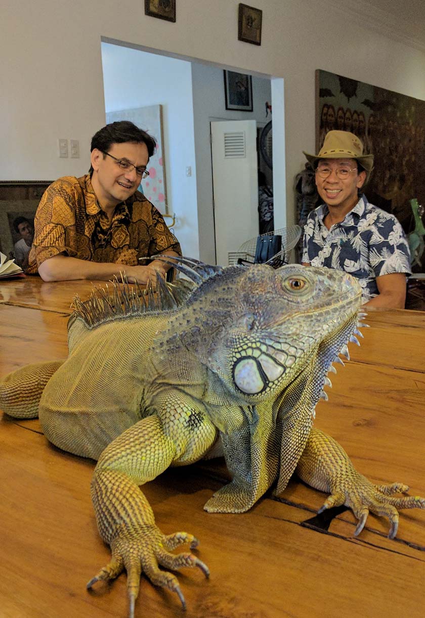 Iguana Columbia Hijau milik Kuya Kim Atienza, Bert, baru saja terbangun dari tidur sebelum dibawa untuk menyertai sesi wawancara