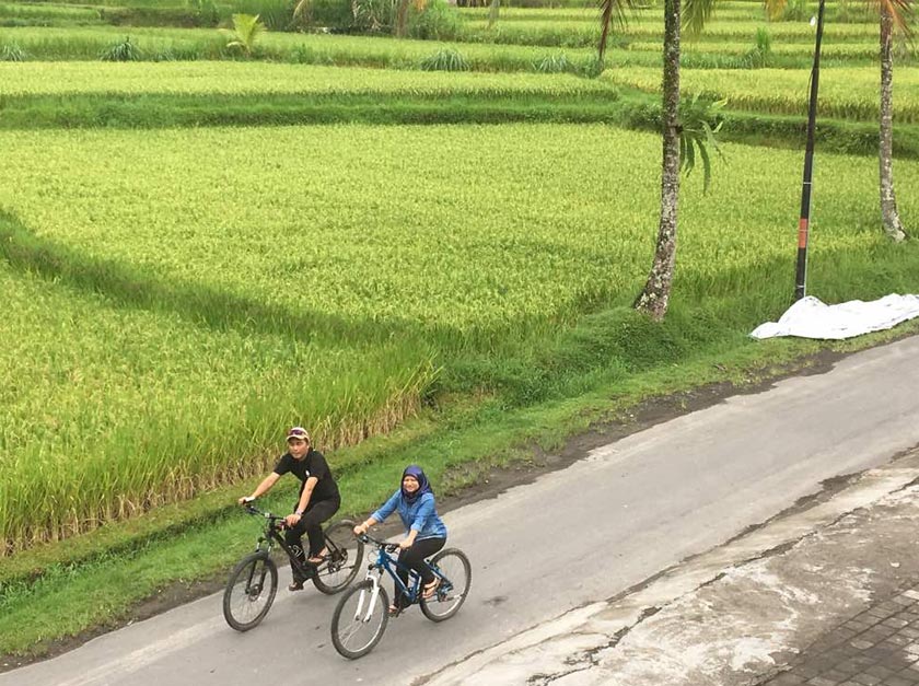 Salah satu kawasan tumpuan pelancong iaitu Ubud di Bali, Indonesia.
